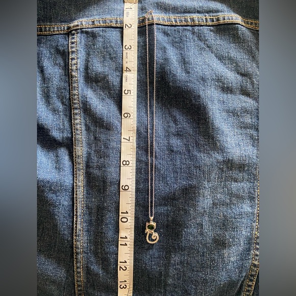 Green Chrome Diopside Cat Pendant w/ Chain 1.59ctw - Picture 7 of 10